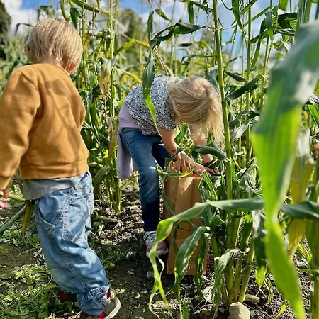 Tyristua Дом отдыха Gjesval