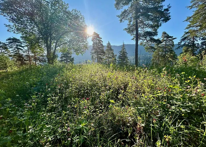 Tyristua Feriehus